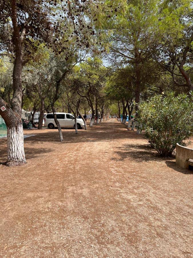 Location de vacances pour 4 personnes, avec Jardin à Manfredonia - 4