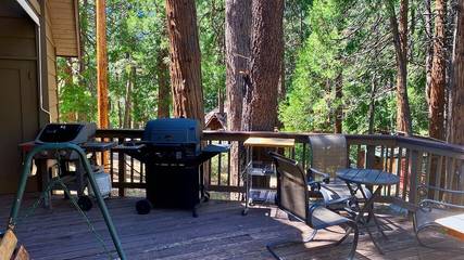 Log Cabin for 10 Guests in Idyllwild, Riverside County, Picture 1