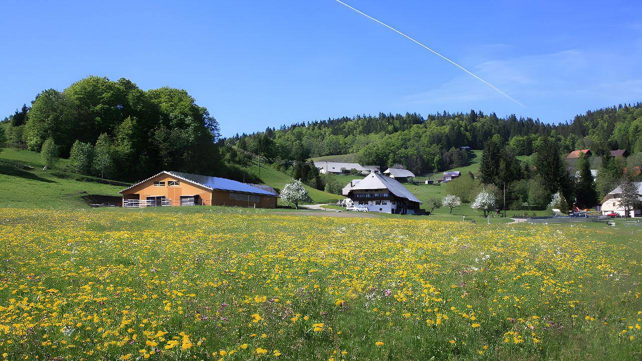 Ganze Ferienwohnung, Ferienwohnung für 6 Personen (100 m²) in Ibach in Suedlicher Schwarzwald, Ibach