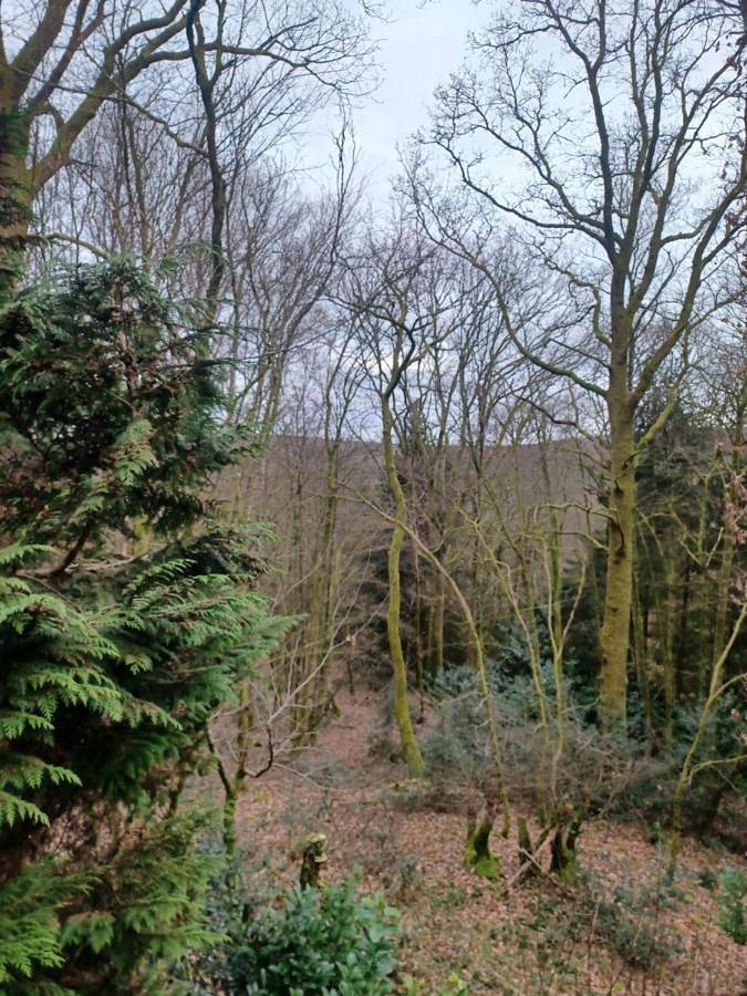Location de vacances pour 4 personnes, avec jardin ainsi que vue et balcon dans Les Nobertins - 4