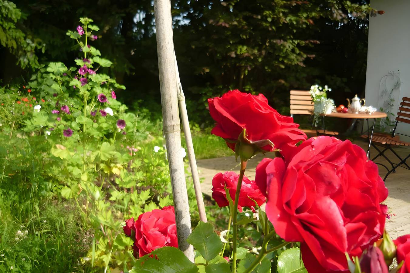 Ganze Wohnung, Apartment „Willkommen in unserer Oase der Ruhe“ mit privater Terrasse, Garten & Wlan in Winterstetten, Leutkirch im Allgäu