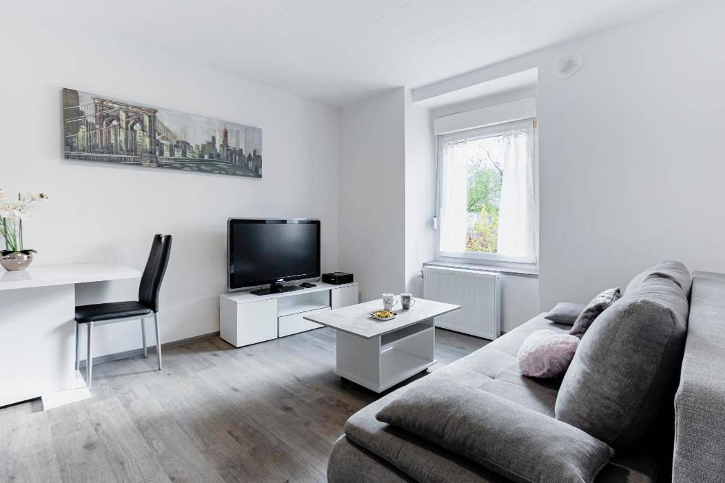 Appartement entier, One-Bedroom Apartment in Saint-Louis, Région de Mulhouse