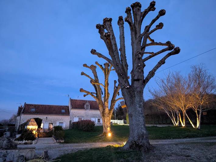 Location de vacances pour 4 personnes, avec jardin et vue, animaux acceptés à Huismes - 2