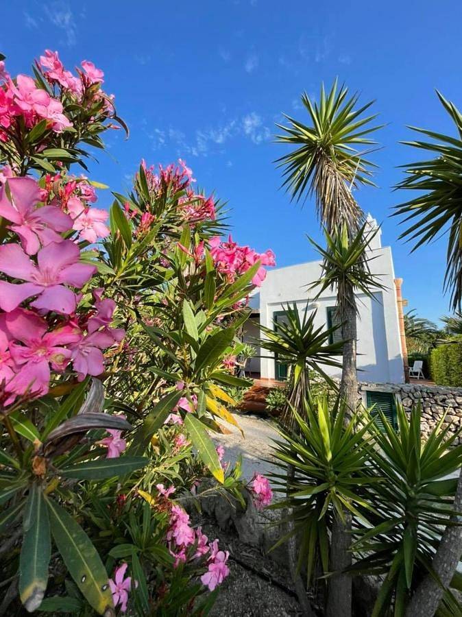 Villa Dei Gabbiani in Favignana città, Favignana