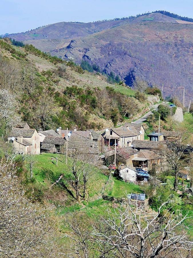 Location de vacances pour 5 personnes, avec terrasse et vue, animaux acceptés à Barre-des-Cévennes - 2