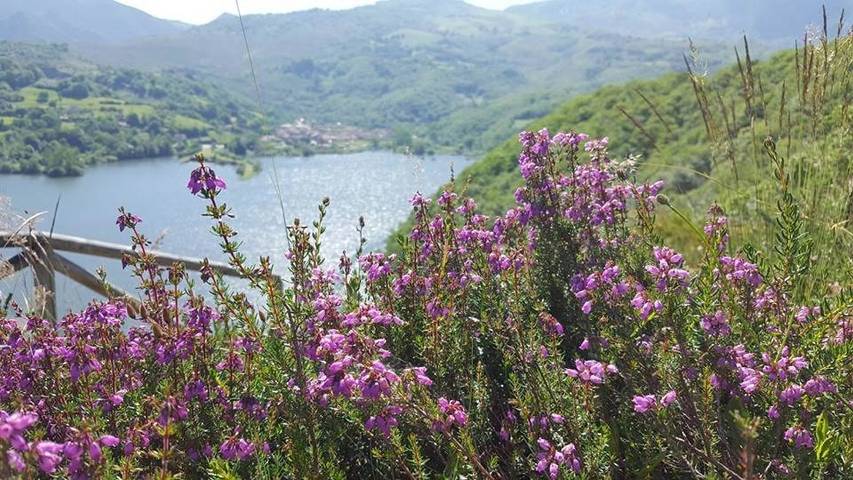 Hotel para 2 personas, con vistas y terraza en Parque Natural de Redes - 4