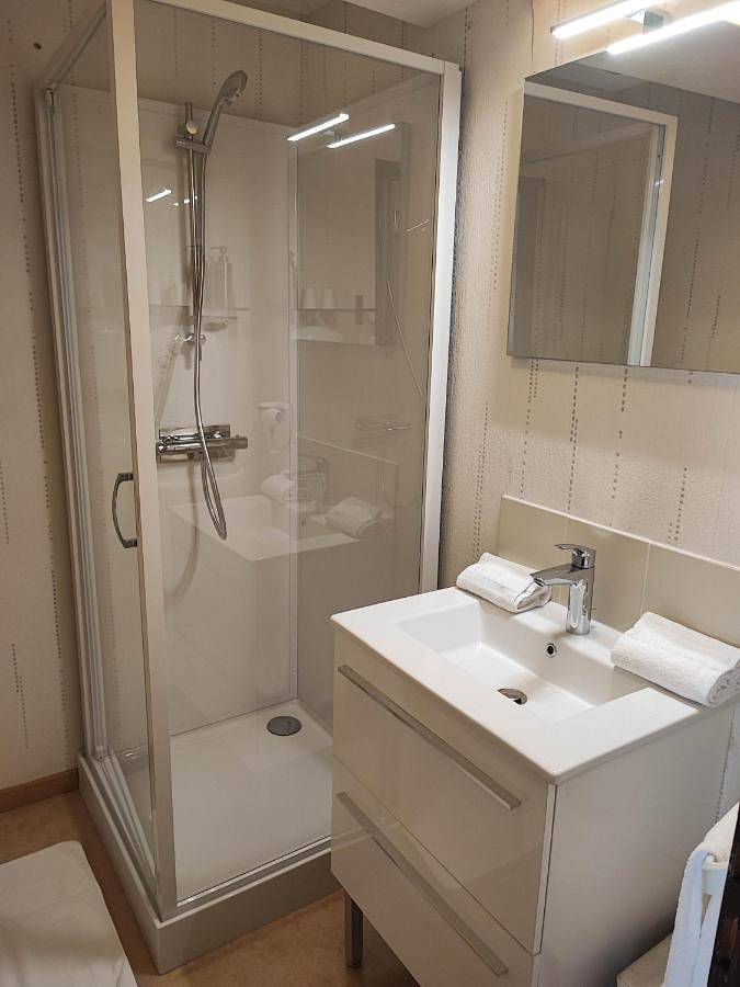 Hôtel pour 2 personnes, avec terrasse, animaux acceptés à Saint-Benoît-sur-Loire - 4