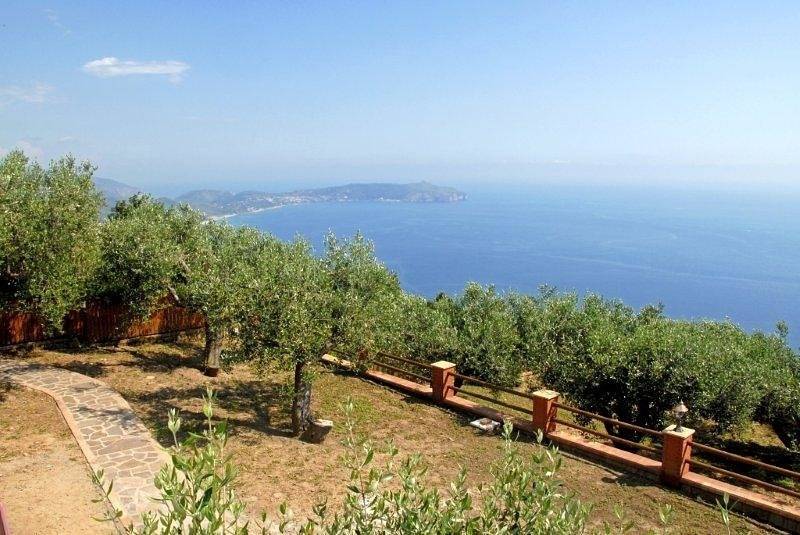 Casa degli Ulivi in Pisciotta, Cilento