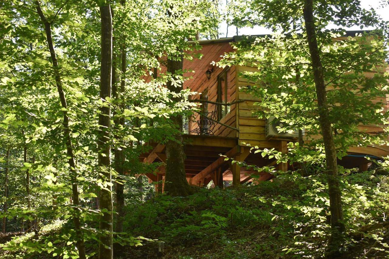 One-Bedroom Chalet in Philippeville, Parc Naturel Viroin Hermeton