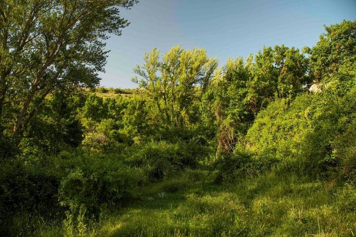 Casa rural para 7 personas, con jardín y vistas en La Rioja - 2