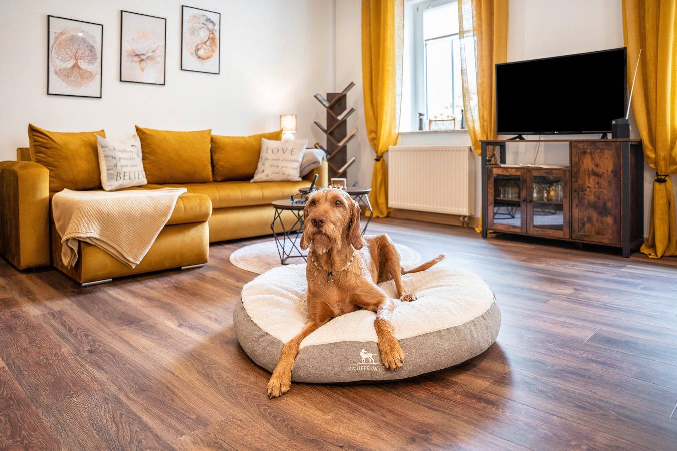 Ganze Wohnung, Ferienwohnung 'Gästewohnung Auszeit' mit dem Angebot frischer Eier von glücklichen Hühnern in Regis-Breitingen, Leipzig und Umgebung