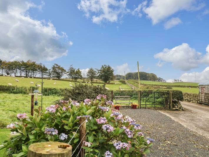 Cottage für 5 Personen mit Garten in Grafschaft Antrim