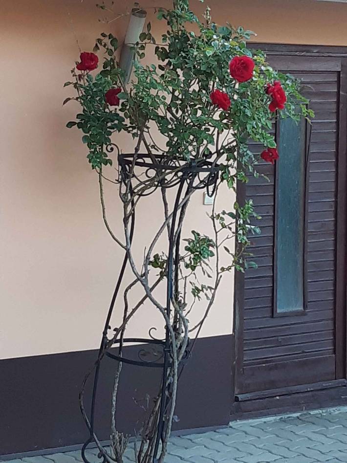 Ganze Ferienwohnung, Ferienwohnung in Zentrumsnähe mit Wlan und Klimaanlage  in Zalakaros, Balaton Region
