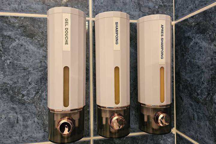 Gîte pour 4 personnes, avec balcon, animaux acceptés dans Saint-Étienne - 4