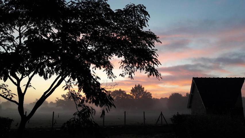 Location de vacances pour 2 personnes, avec balcon et vue ainsi que piscine et jardin à Arnage - 3