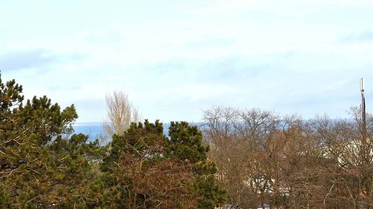 Ganze Ferienwohnung, Ferienwohnung für 2 Personen (55 m²) in Niendorf/Ostsee in Niendorf, Timmendorfer Strand