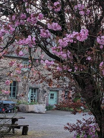 Chambre d’hôte pour 5 personnes, avec terrasse ainsi que jardin et vue, animaux acceptés à Le Teilleul