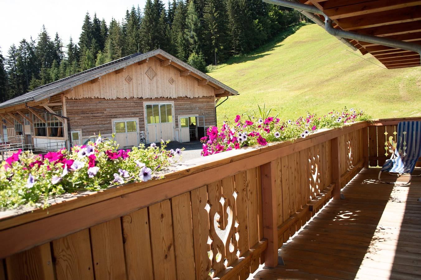 Ganze Wohnung, Ferienwohnung 'Enzian' mit gemeinsamer Terrasse, Balkon und Wlan in Wagrain, Ski Amadé