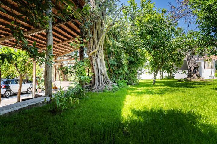 Amore Rentals - Villa Alice con Giardino, Aria Condizionata e Terrazzo in Sorrento, Provincia de Nápoles