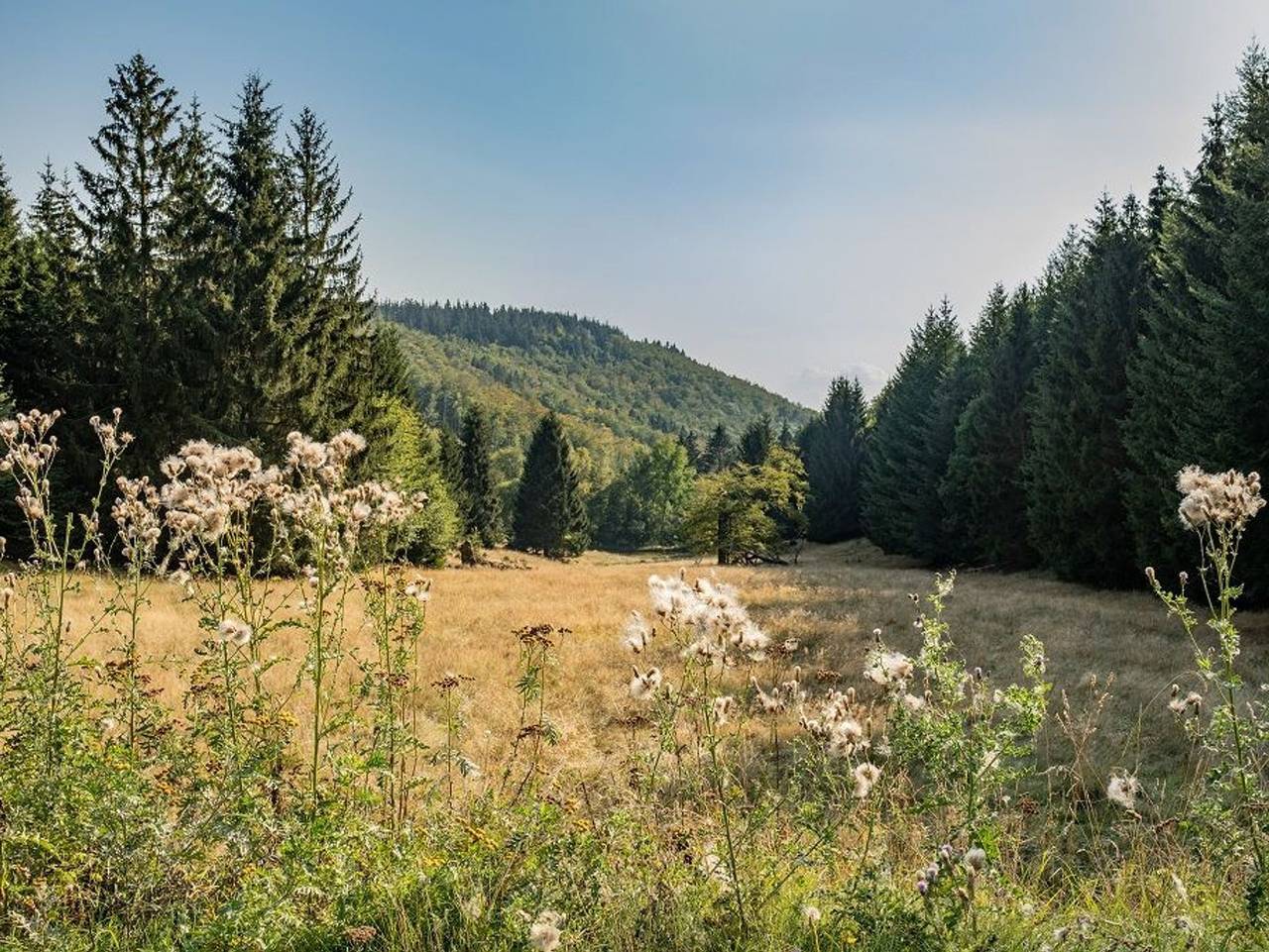 Waldpark Krätzersrasen - Bungalow 4 in Bad Liebenstein, Rennsteig