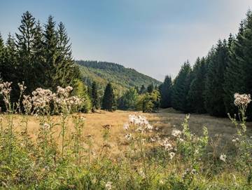Ferienhaus für 5 Personen in Bad Liebenstein, Rennsteig, Bild 2