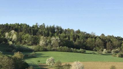 Ferienhaus für 5 Personen, mit Terrasse in Spessart-Mainland