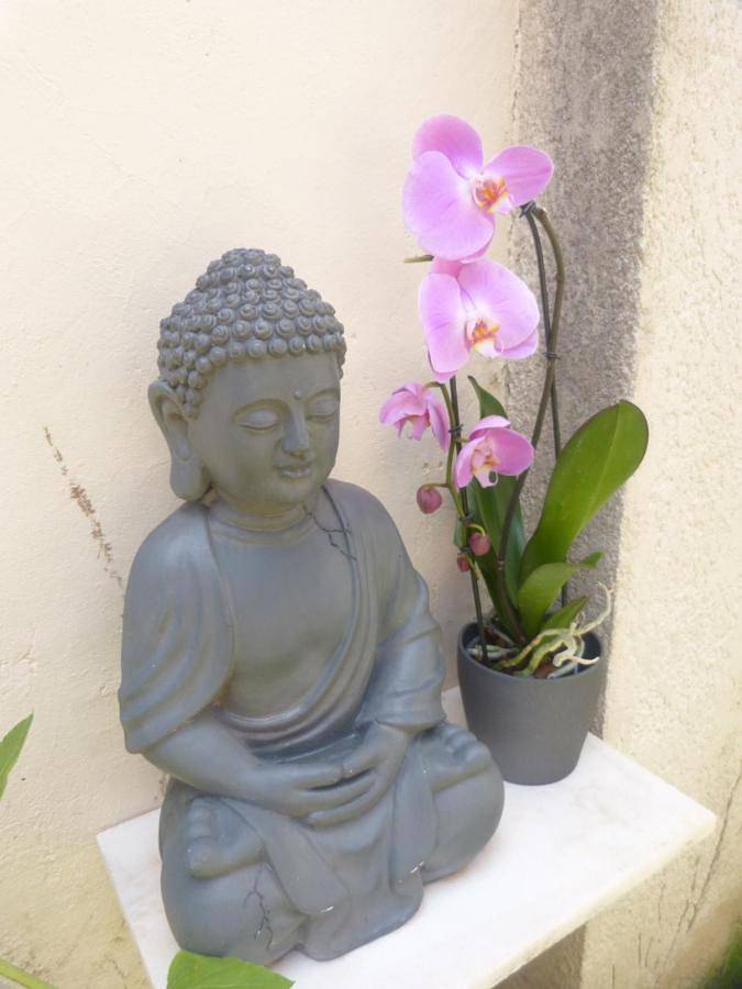 Location de vacances pour 2 personnes, avec jardin à Sartrouville - 2