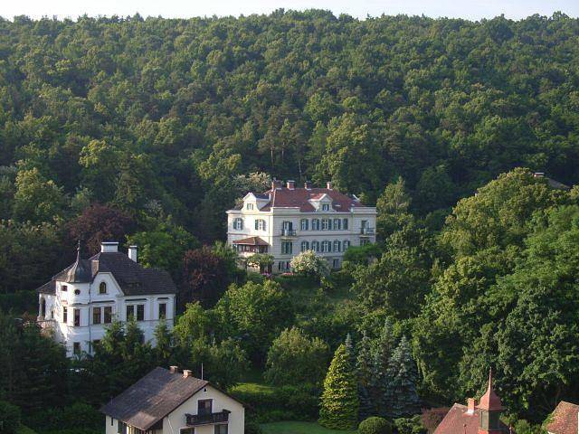 Hotel Garni - Waldpension Mück - Einzelzimmer Waldseite in Gars am Kamp, Weinviertel