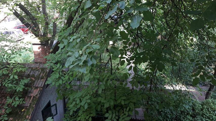 Maison d’hôte pour 3 personnes à Ljubljana - 3