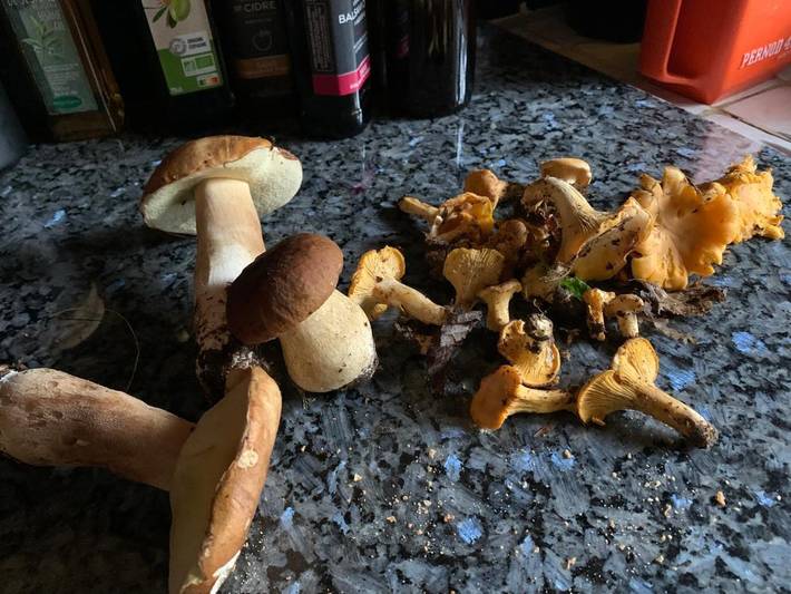 Location de vacances pour 2 personnes, avec jardin ainsi que piscine et vue à Cause-de-Clérans - 3