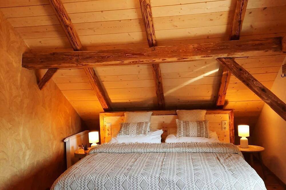 Wohn-Loft mit Terrasse zwischen Bodensee und den Alpen. Haustierfreundlich! in Oberreute, Bayerisch Schwaben