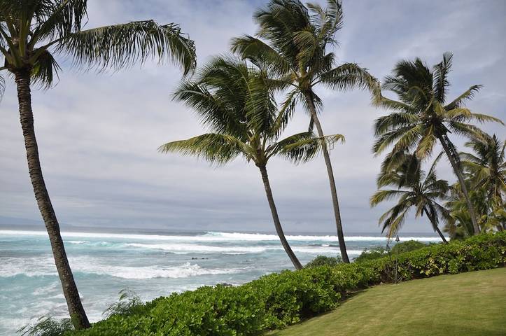 Cabin for 6 people, with yard in Hawaii