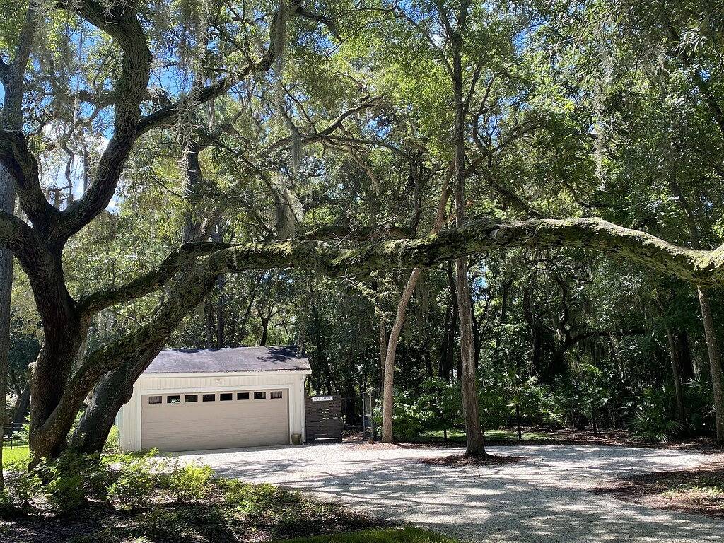 Pet Friendly Studio with Tons of 5 Star Reviews in Jacksonville, Duval County