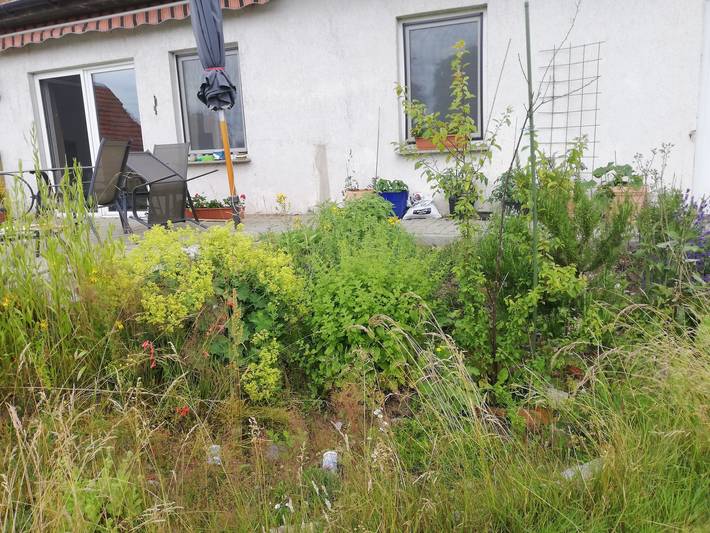 Ferienwohnung für 4 Personen, mit Terrasse und Garten, kinderfreundlich - 1