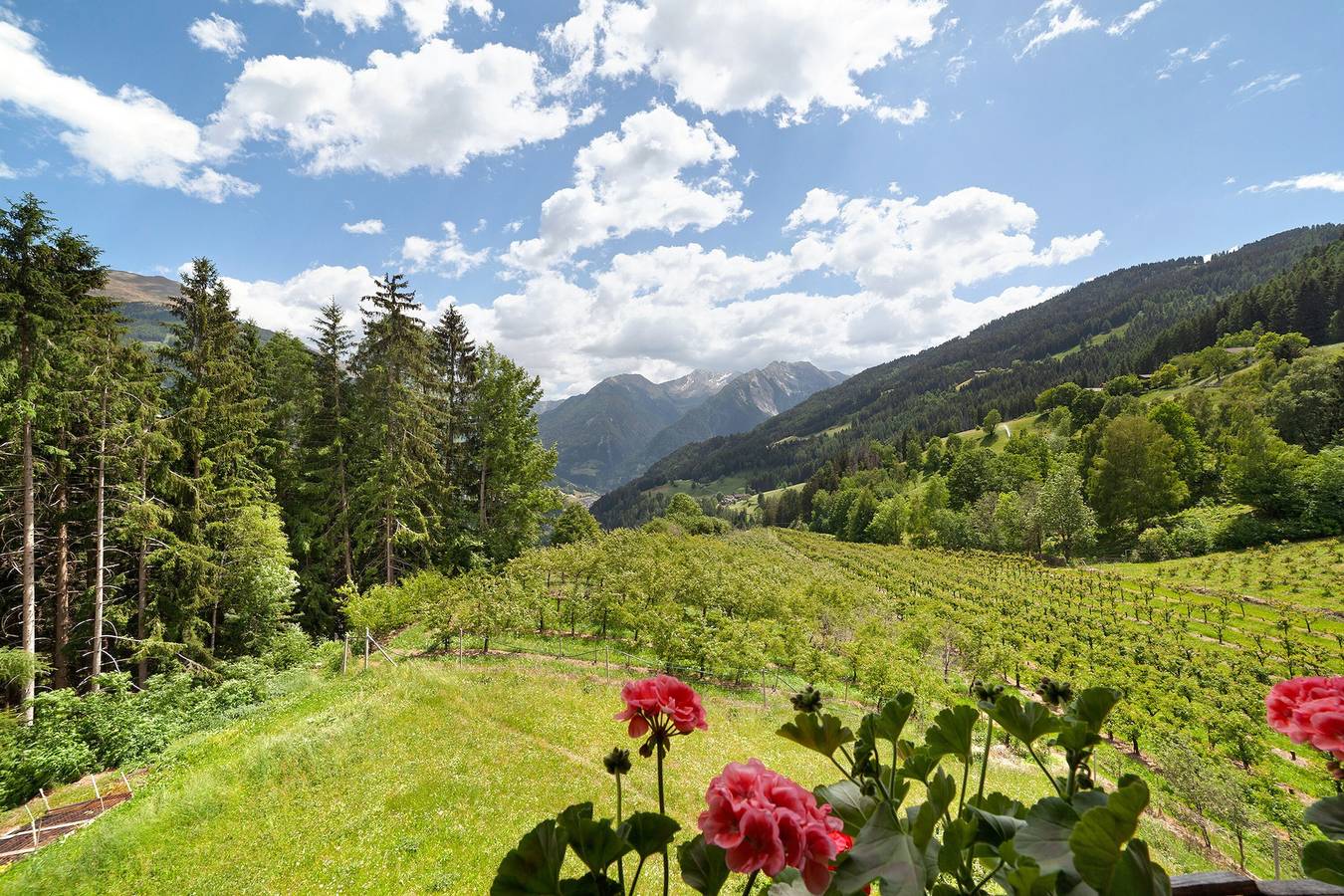 Entire apartment, Apartment 'B' with Mountain View, Balcony and Wi-Fi in Ulfas, Moos in Passeier