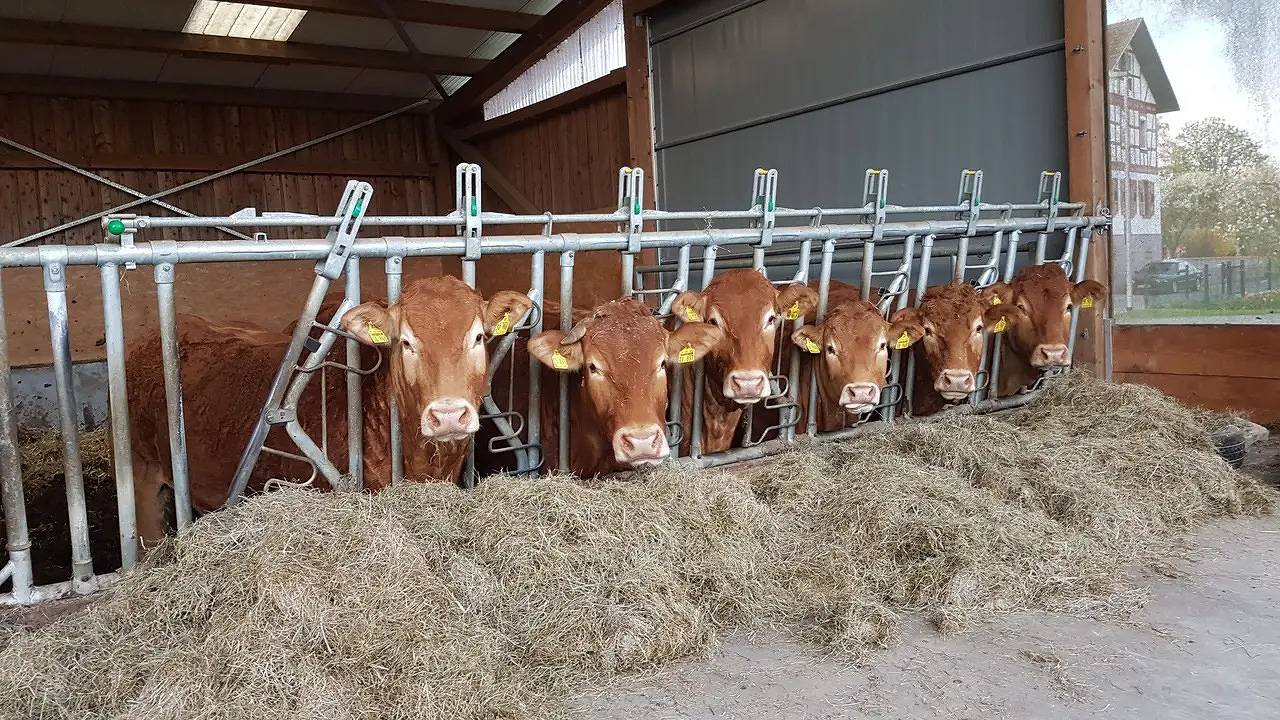 Ganze Ferienwohnung, Ferienwohnung für 4 Personen (45 m²) in Modautal in Modautal, Südhessen