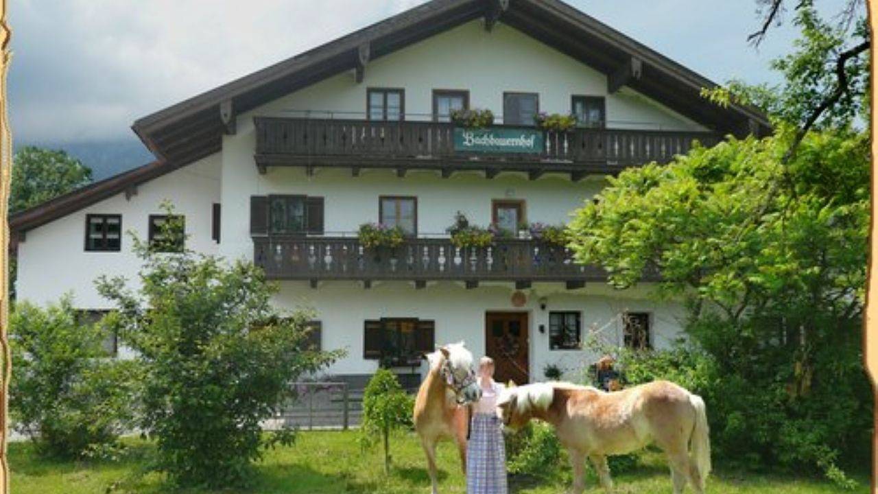 Ganze Ferienwohnung, Ferienwohnung für 3 Personen (50 m²) in Bayerisch Gmain in Bayerisch Gmain, Bayerische Alpen