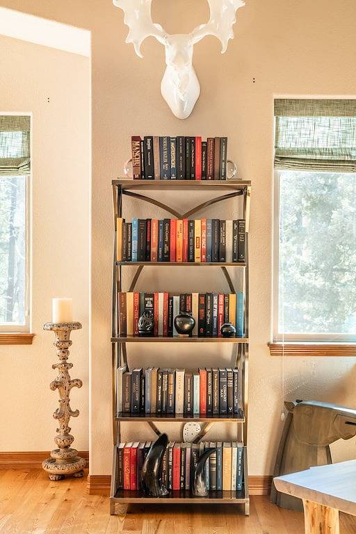 Cozy Mountain Retreat for the Holidays! December Special! in Teller County