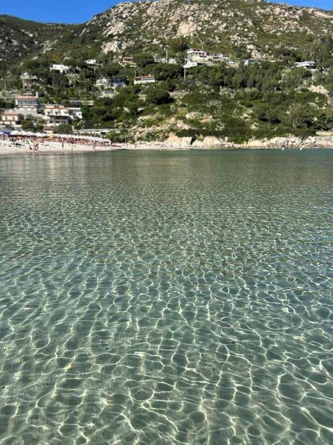 Appartamento per 4 persone, con animali domestici in Fetovaia