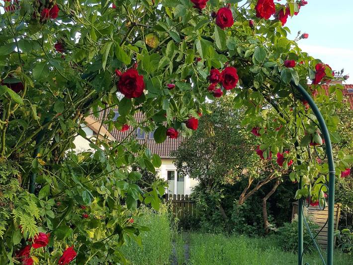 Ferienwohnung für 3 Personen, mit Terrasse und Garten in Blankensee (Mecklenburg)