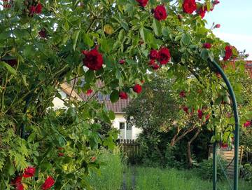 Ferienwohnung für 3 Personen, mit Garten und Terrasse in Blankensee (Mecklenburg)