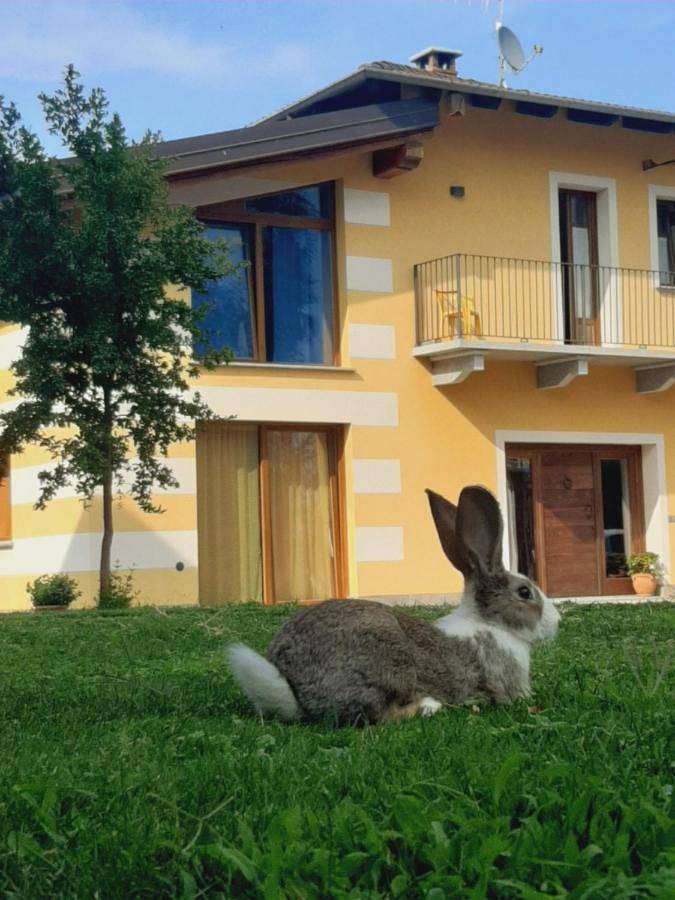 Location de vacances pour 2 personnes, avec Balcon et Terrasse ainsi que Jardin et Piscine à Dronero