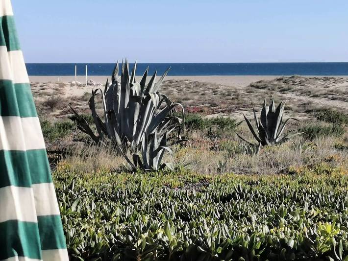 Gîte pour 3 personnes, avec terrasse et vue dans Plage Le Grau De Leucate - 4