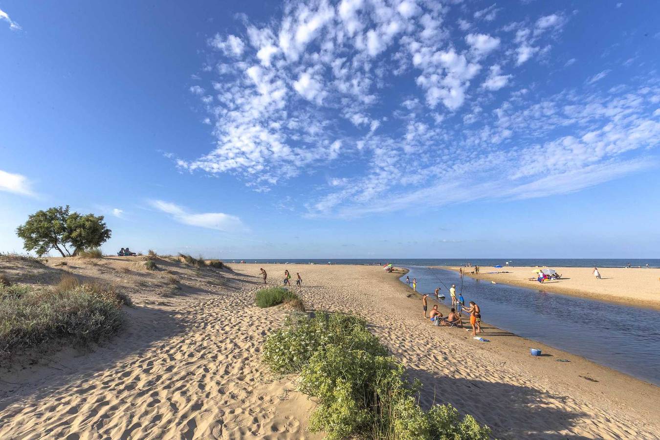 Apartamento entero, Anacasa Poble Mar Met in Oliva, Costa Blanca