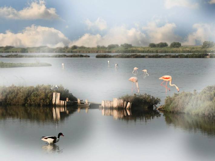 Villa per 6 persone, con giardino sulla Riviera Romagnola