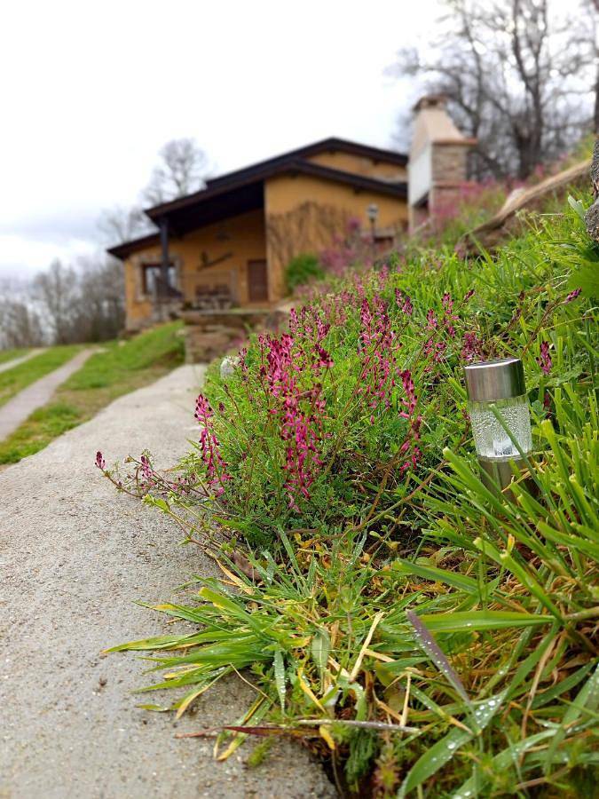 Casa rural para 9 personas, con vistas y jardín, Se admiten mascotas en Trefacio - 4