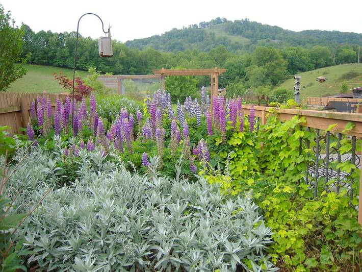 Holiday rental for 3 people, with garden in North Carolina