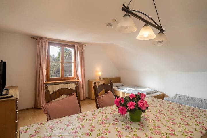 Ganze Wohnung, Ferienwohnung 'Achraintal 1' mit Bergblick und Wi-Fi in Lindau, Bayerisch Schwaben