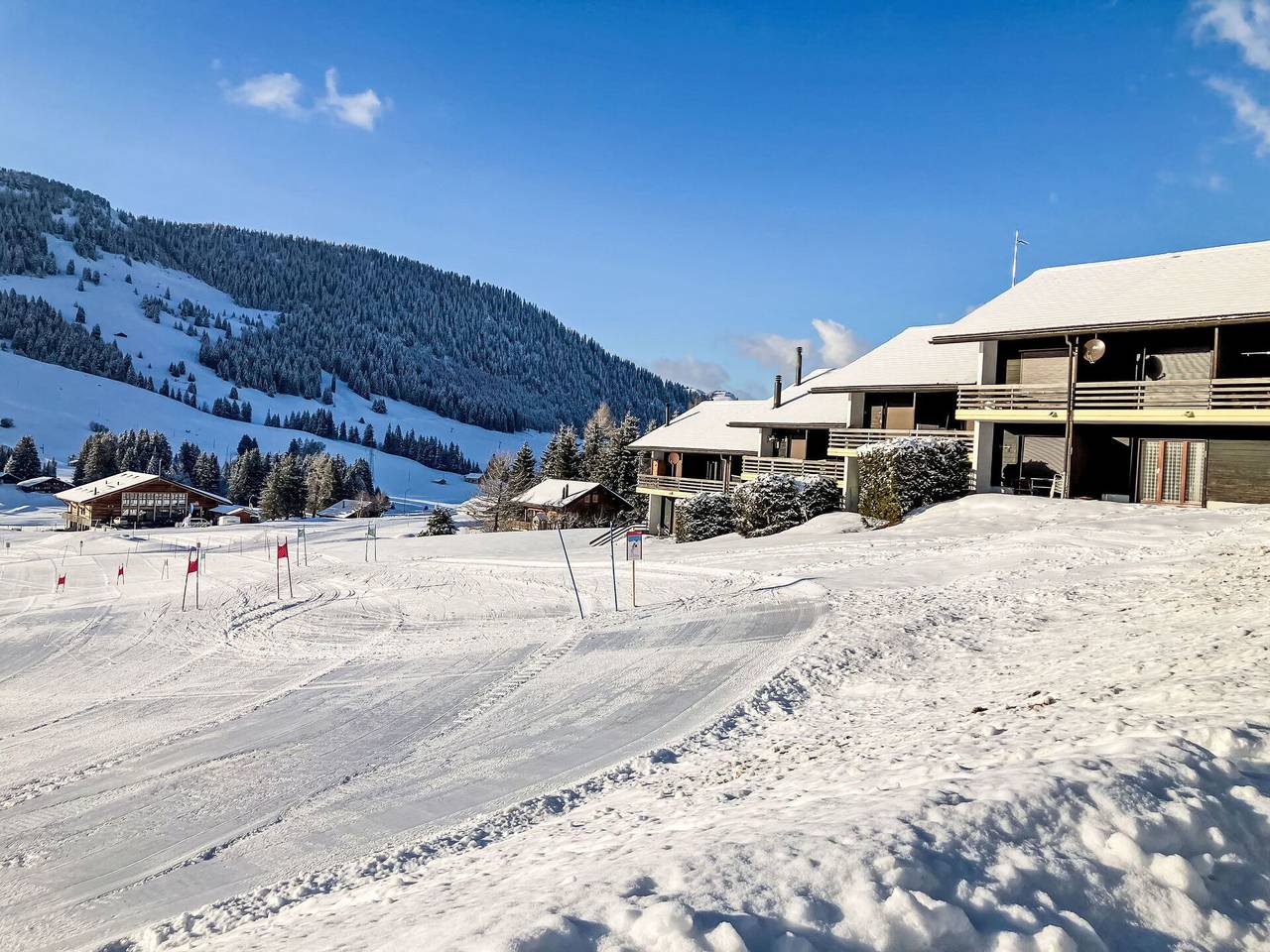 Ganze Wohnung, Les Bluets - Les Bluets 1.1 in Les Mosses, Ormont-Dessous