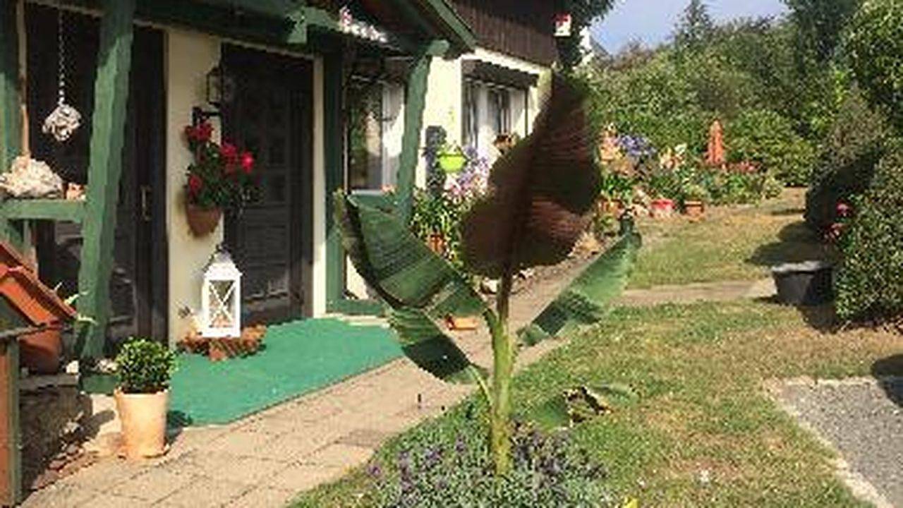Ganze Ferienwohnung, Ferienwohnung für 2 Personen (26 m²) in Thale in Friedrichsbrunn, Thale